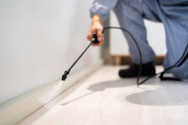 Licensed Termite Control service in Santa Rosa, TX - Show Me Pest Control